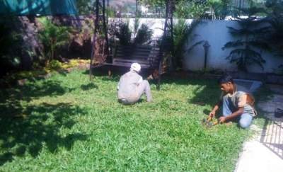 Bathroom & kitchen cleaning